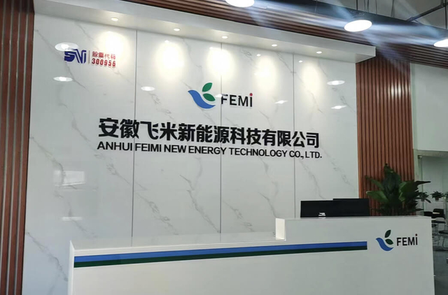 Anhui Femi New Energy Technology Co., Ltd.